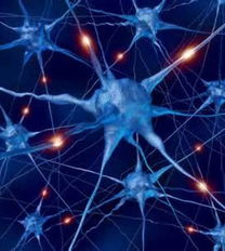 2013最 酷 科技產品 無人機送貨入列