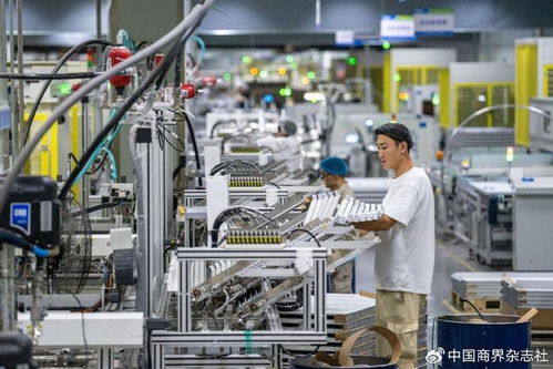 第四季度經(jīng)濟金融展望 恢復(fù)向好趨勢不變